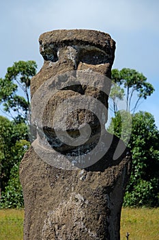 Single moai statue in Ahu Akivi site, Easter Island, Chile