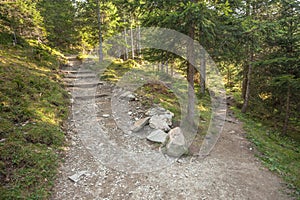 A single mountain path splits in two different directions