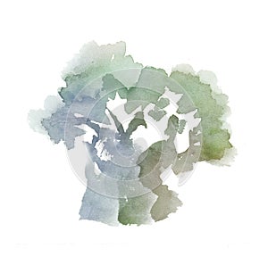 Single olive tree paint drawn illustration.