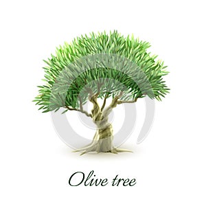 Single olive tree picture print