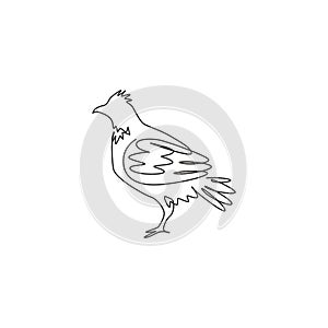 Single one line drawing of adorable grouse bird for foundation logo identity. Shooting bird syndicate mascot concept for tradition