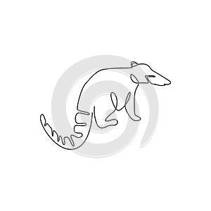 Single one line drawing of beautiful coati  for company logo identity. Diurnal mammals mascot concept for national conservation photo