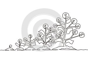 Single one line drawing sprouts, plants, money trees growing icon. Step of coins stacks, money, saving and investment or family