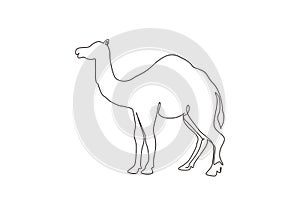 Single one line drawing strong desert Arabic camel for logo. Cute mammal animal concept for livestock husbandry, tourism,