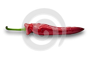 Single one red paprika sweet pepper on white background