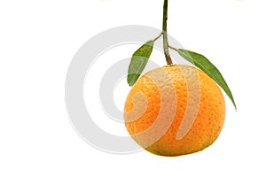 A single orange fruit with leaf isolated on white background