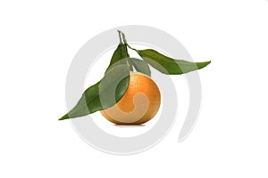 A single orange fruit with leaf isolated on white background