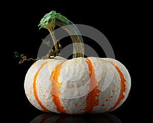 Single orange striped pumpkin isolated black