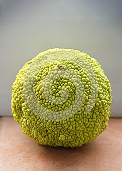 Osage orange fruit, close up