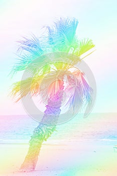 Single palm tree growing on a beach. Turquoise sea blue sky. Beautiful rainbow colors toning. Tropical vacation relaxation fun