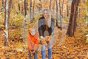 Single parent family playing with autumn leaves in park. Happy mom and son throw autumn leaves up in fall park.