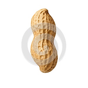 Single Peanut on Black Background