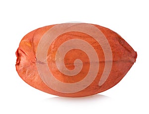 Single peanut close-up isolated on a white background.