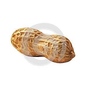 A Single Peanut in Its Shell, Isolated on Black