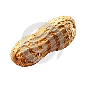 A Single Peanut In Its Shell, Isolated On Black Background