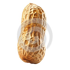 A Single Peanut in its Shell, Isolated on a Black Background