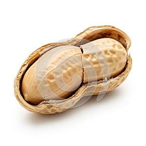 Open Peanut in Shell Showing Two Kernels on White Background legume food