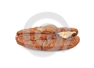 Single pecan nut isolated