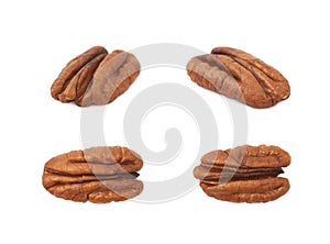 Single pecan nut isolated