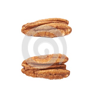 Single pecan nut isolated