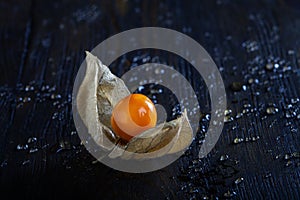 Single physalis fruit on dark background