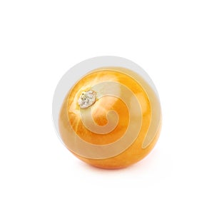 Single physalis fruit isolated