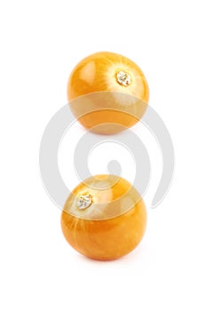 Single physalis fruit isolated