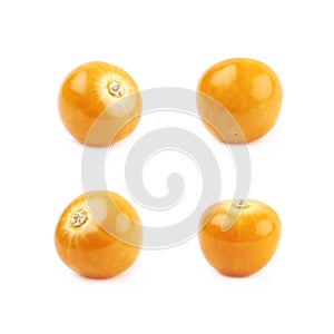 Single physalis fruit isolated