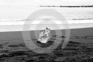 Single piece of ice on black sand of Iceland - Europe