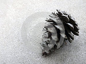 Single Pine Cone against Textured Background