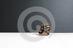 Single pine cone on white wooden surface and black slate stone background