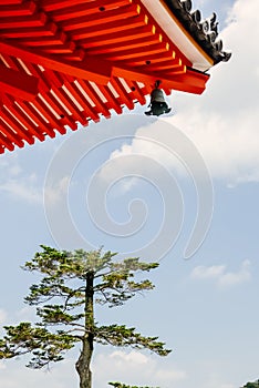 Single pine tree under roof of Kiyomizu-dera temple in Kyoto, Japan