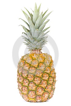 Single pineapple