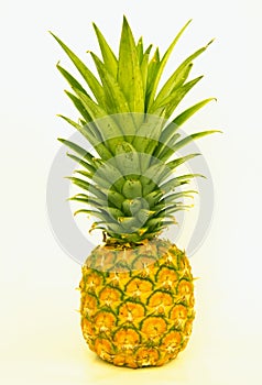 Single pineapple