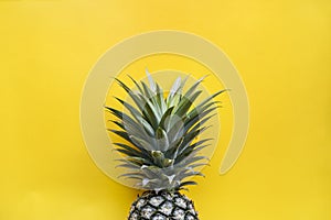 Single pineapple with yellow background