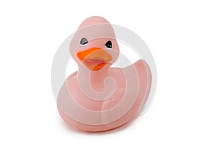 Single Pink Duck Isolated On White