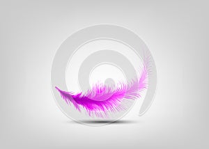 Single pink feather vector isolated on grey background. Levitation plume, lightness concept photo