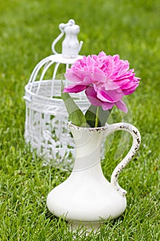 Single pink peony flower in white ceramic vase