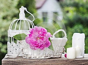 Single pink peony flower in white ceramic vase