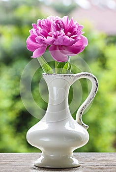 Single pink peony flower in white ceramic vase