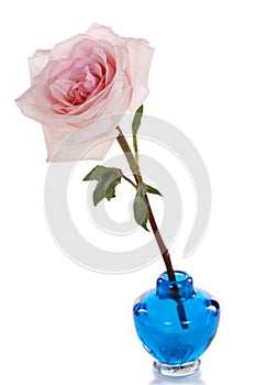Single pink rose in blue vase
