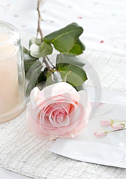 Single pink rose with face mask and candle