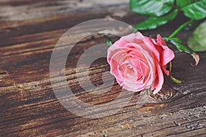 Single pink rose on a rustic table