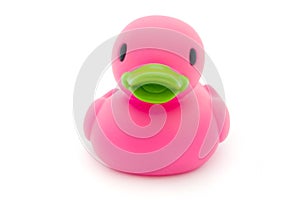 Single pink rubber duck on white