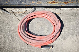 single Pink watering hose coiled on sidewalk