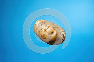 Single potato suspended in midair against a bright blue backdrop