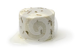 Single preserved white organic Dutch goat cheese