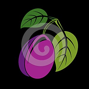 Single purple simple vector plum with green leaves, ripe sweet f