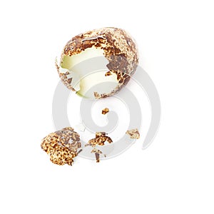 Single quail egg isolated over white background