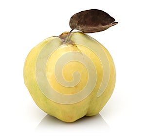 Single Quince fruit with leaf isolated on white